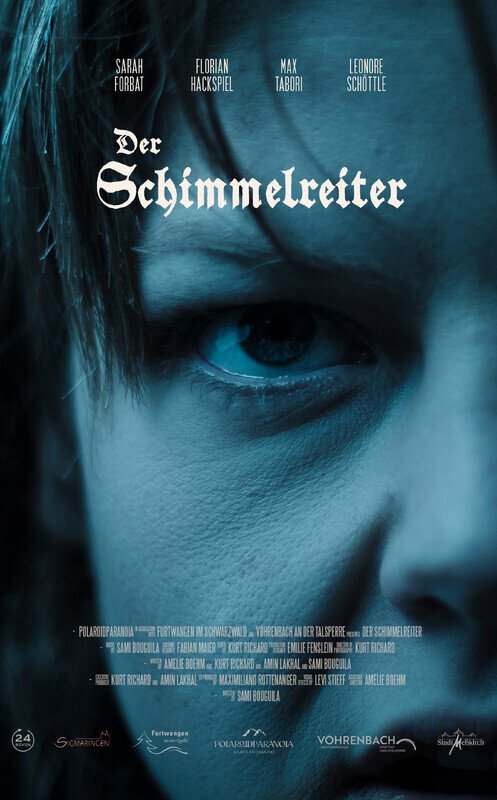 Der Schimmelreiter